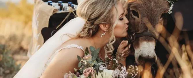 Gorgeous unique outdoor wedding at The Venue at Chilleens | non traditional wedding venues